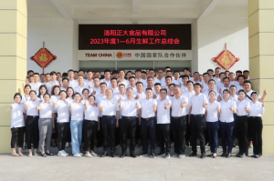 總結過去，計劃未來，協(xié)同創(chuàng)新，再創(chuàng)佳績！洛陽正大舉行2023年上半年工作總結會議